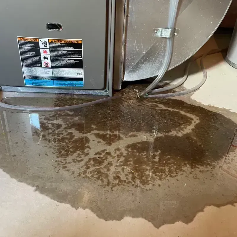 Appliance Leak Cleanup in Whitmore Lake, MI